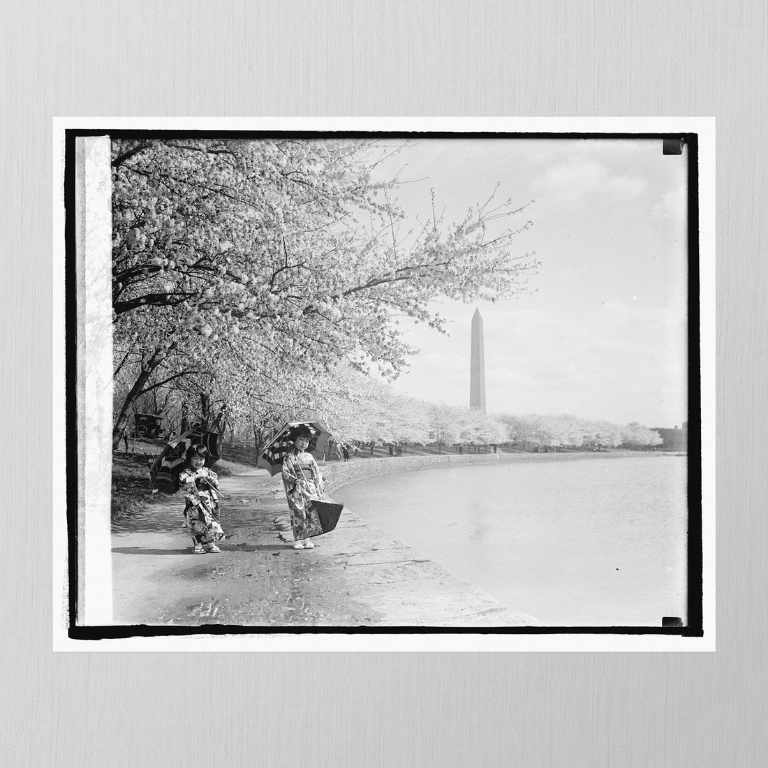 Cherry Blossoms by Herbert A. French, 1925