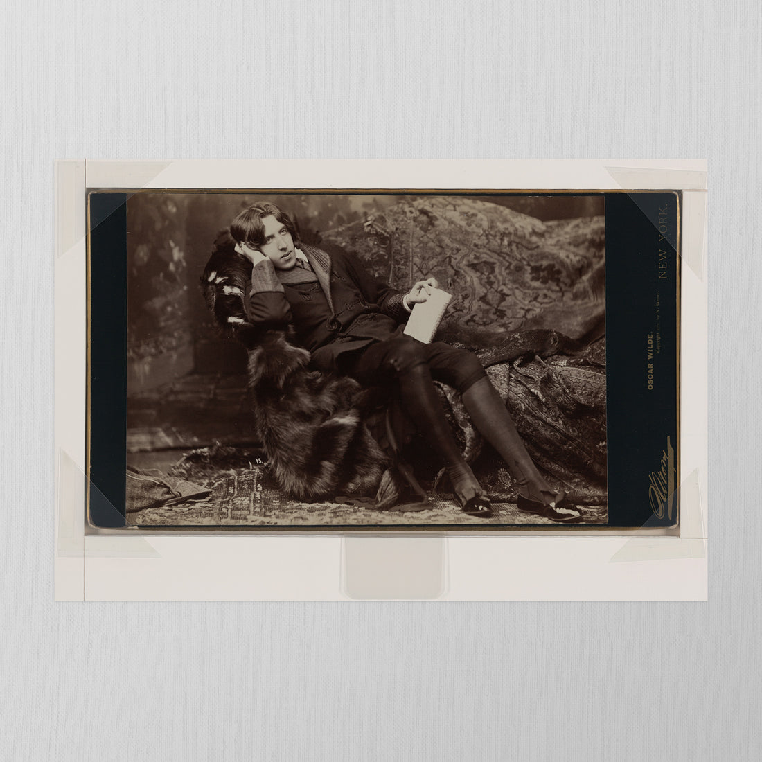 Oscar Wilde, Portrait Fifteen by Napoleon Sarony, 1882