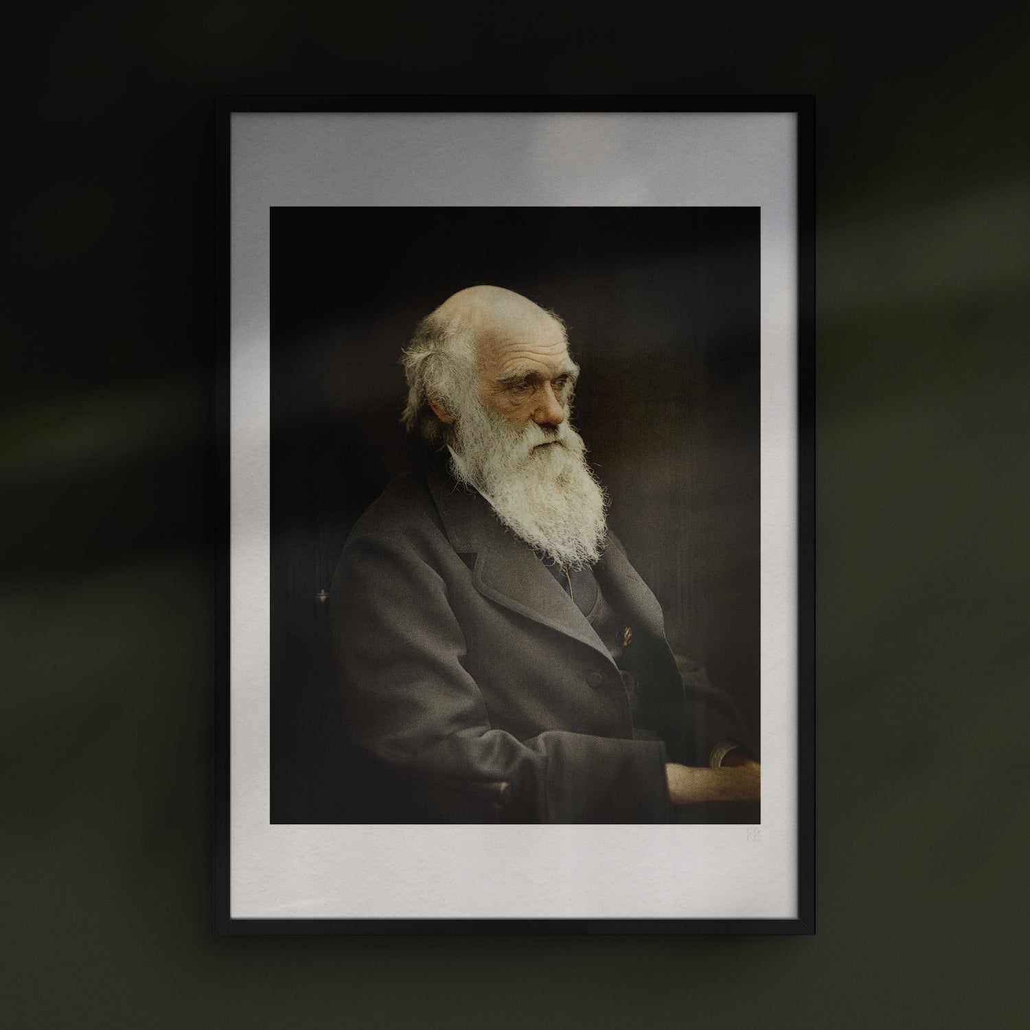 Charles Darwin, 1874, Colorized
