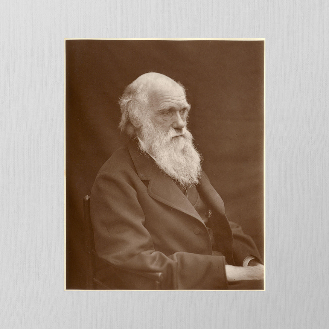 Charles Darwin by Jordan J. Lloyd, 1874