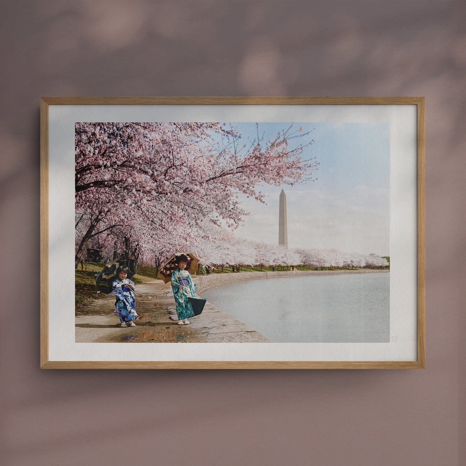 Cherry Blossoms, 1925, Colorized