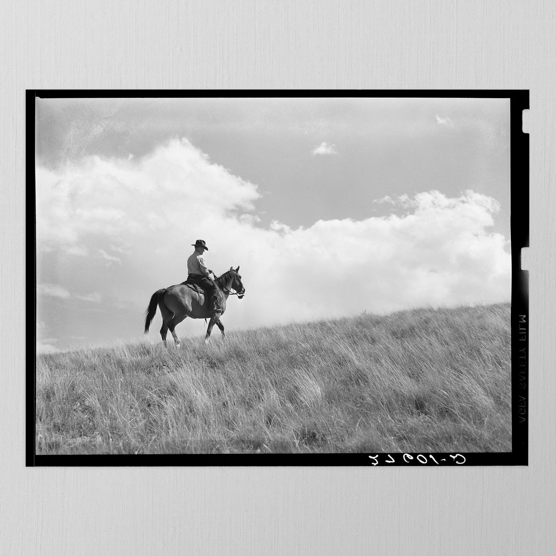 Montana Rancher by Arthur Rothstein, 1939