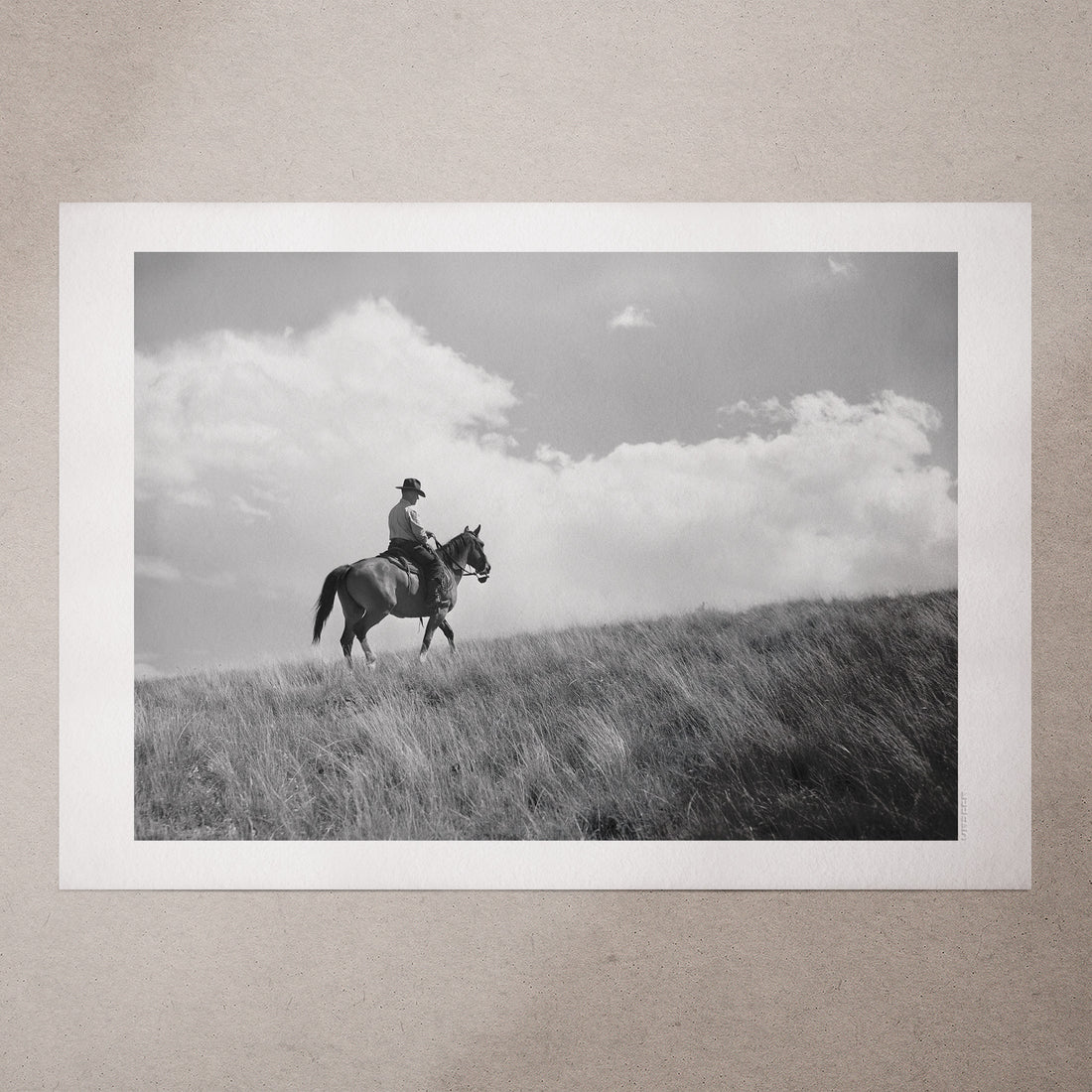Montana Rancher by Arthur Rothstein, 1939